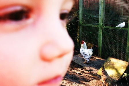 robuste børn robust børneliv familieliv hjerterum læring nervesystem stress mindfulness kost akupunktur massage specialpædagogisk massage børnemassage eksamensangst angst